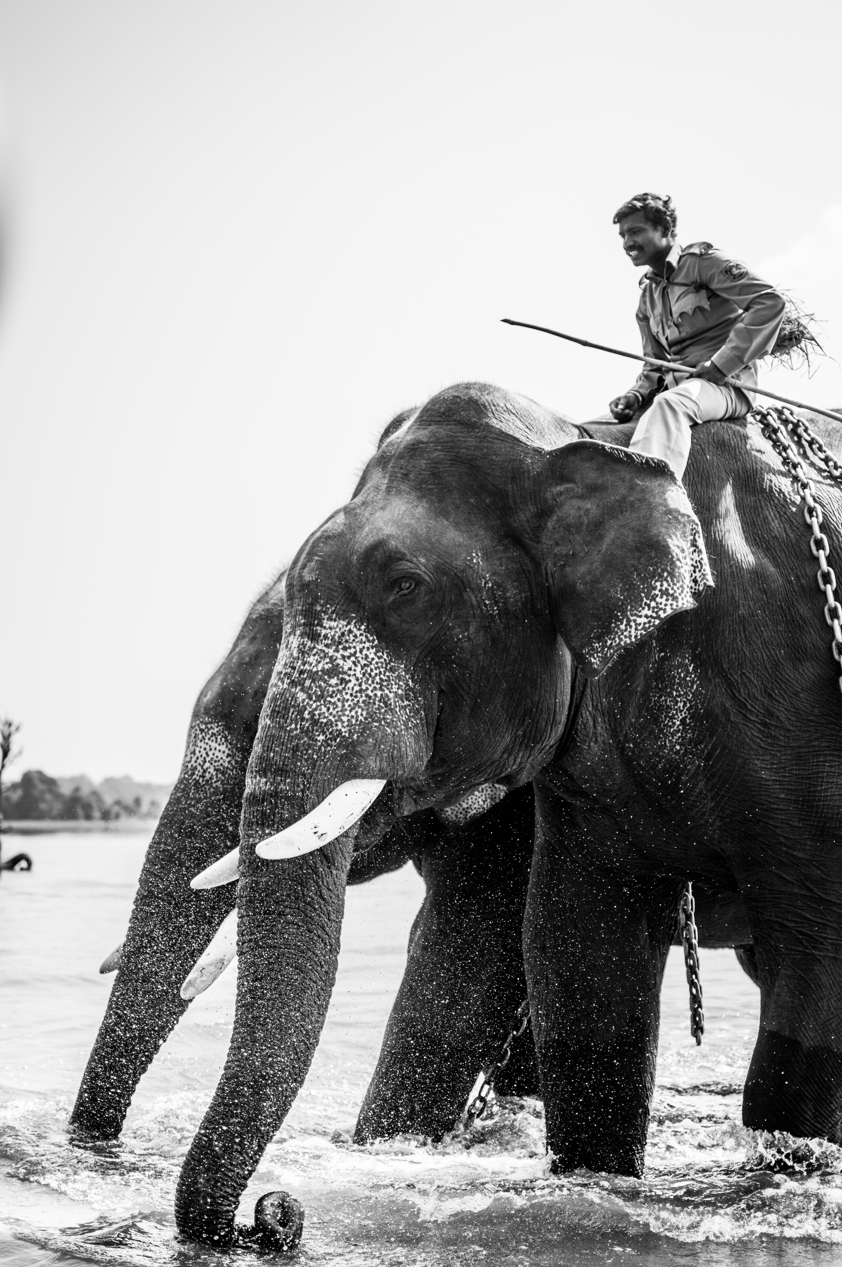 Logo design for the brand Redo on green gradient background