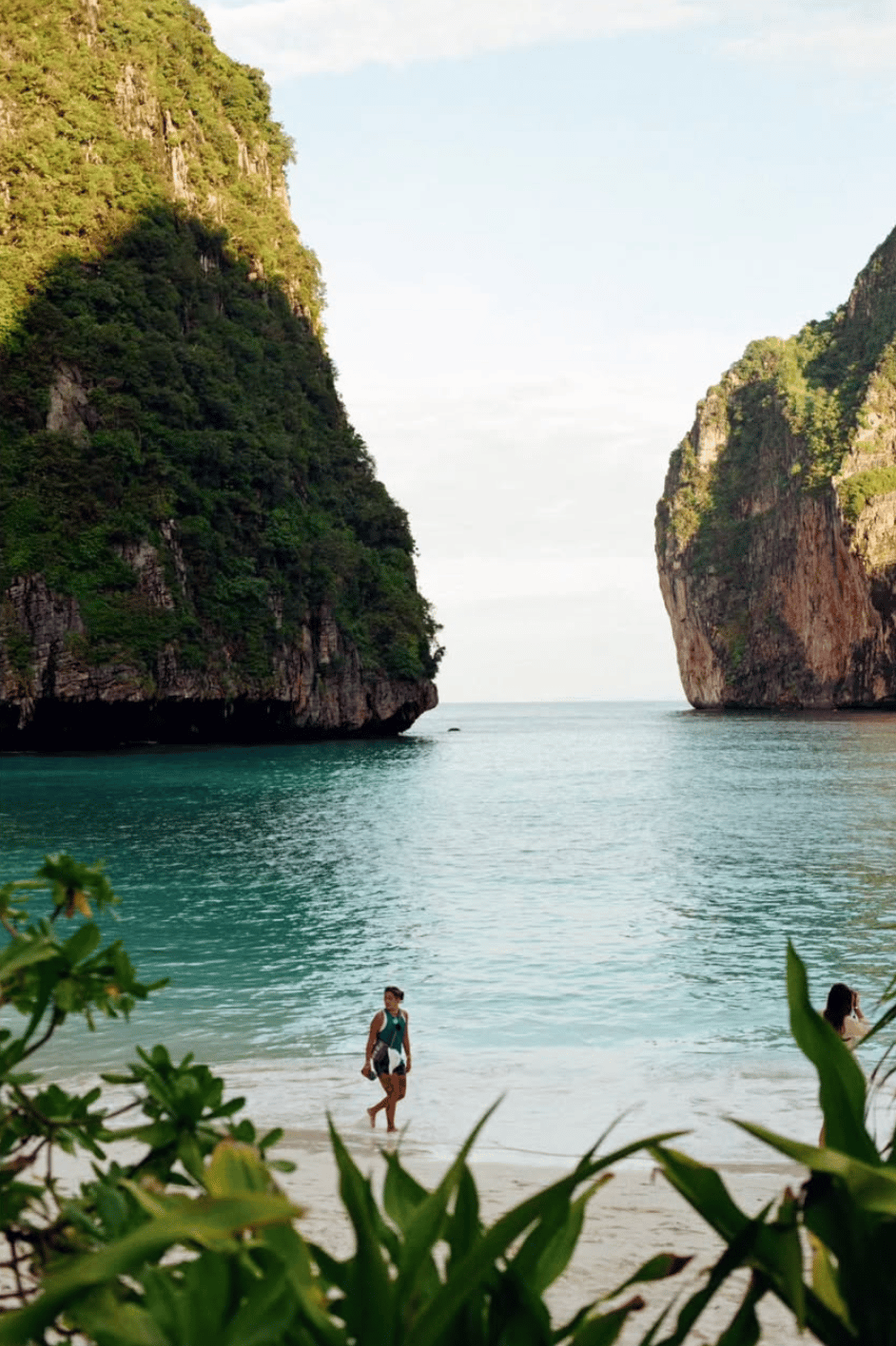 Logo design for the brand Redo on green gradient background