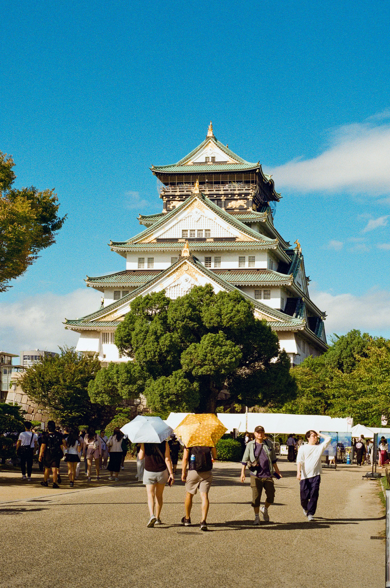Logo design for the brand Redo on green gradient background