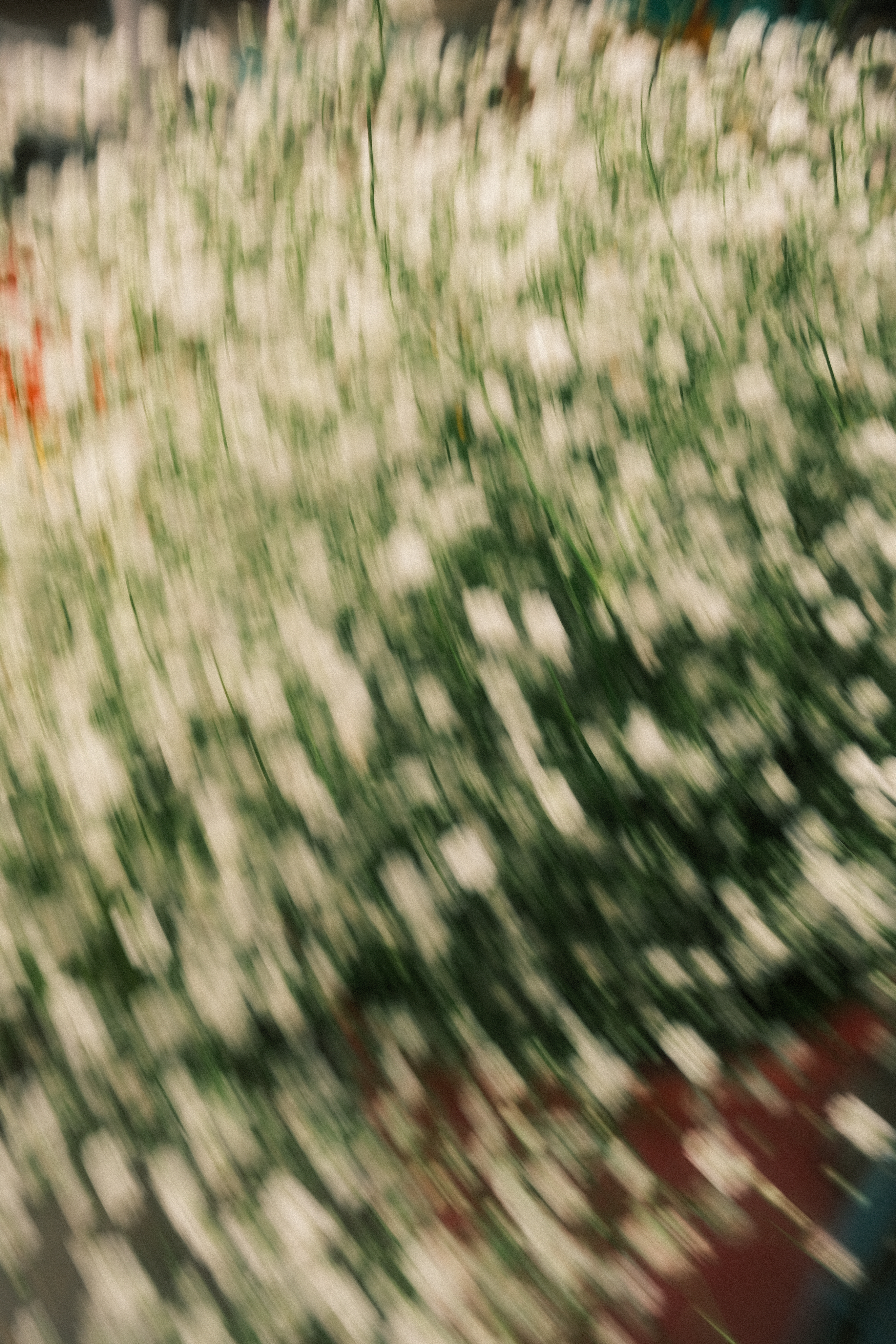 Logo design for the brand Redo on green gradient background